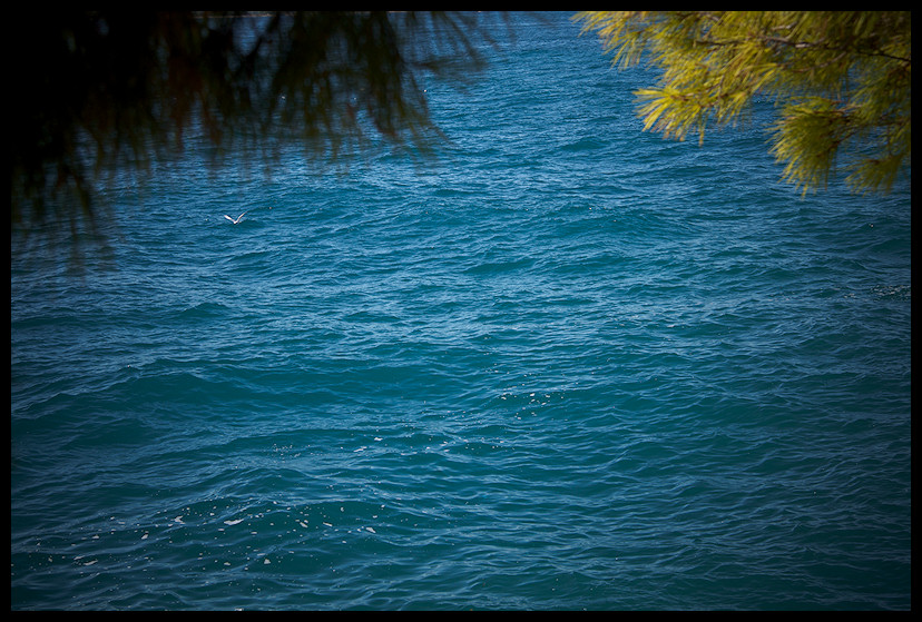 split