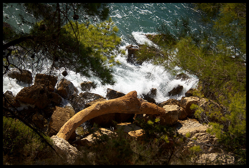 split