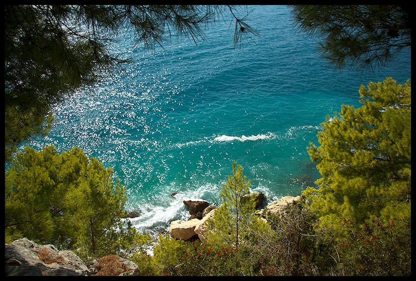 split
