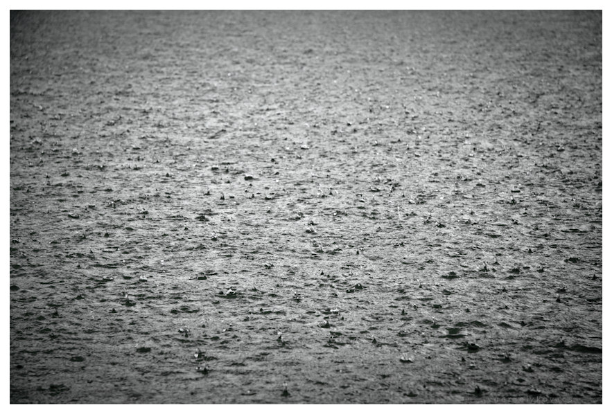 rain at the lake