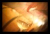A glass of wine