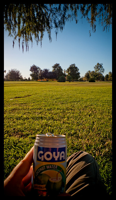 usa LA 2010