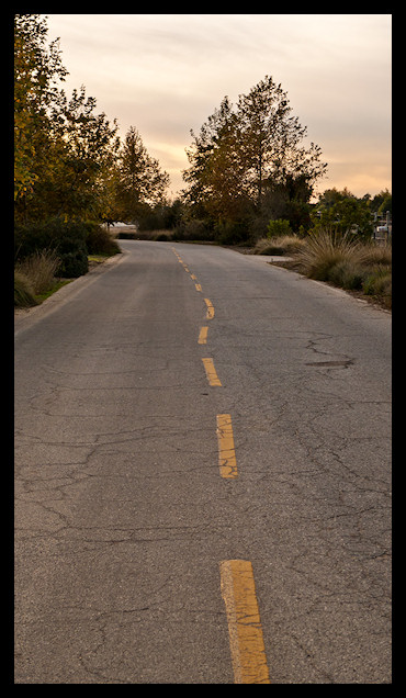 usa LA 2010