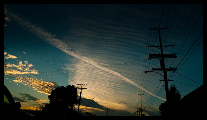 usa LA 2010