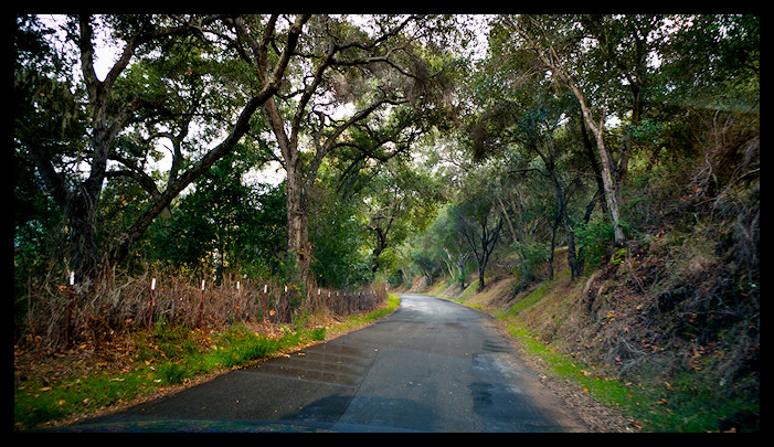 usa LA 2010