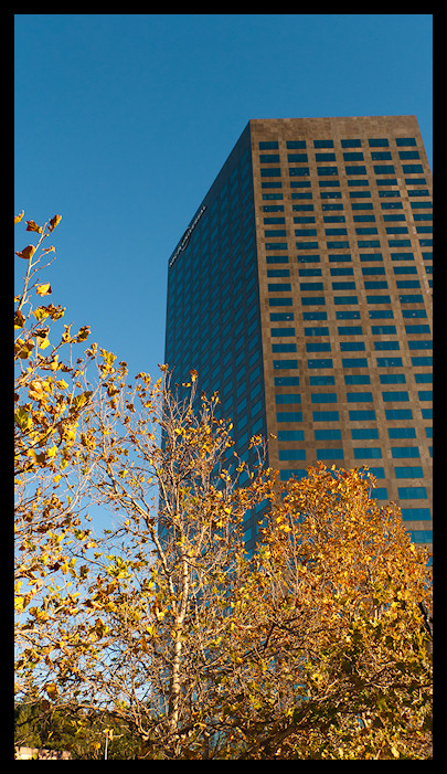 usa LA 2010