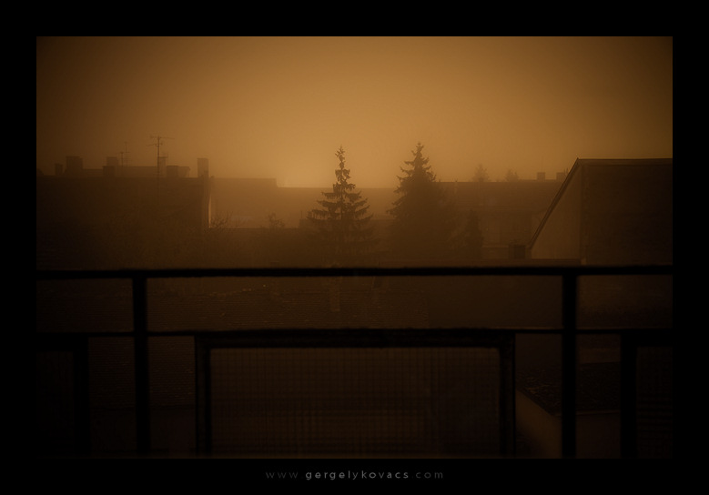 winter fog