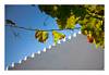Fall