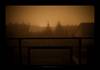 winter fog
