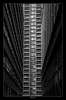 New York New York